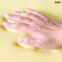 宮武製作所 リビング座布団・角 アイボリー CN-60R / IV 1台 幅450×奥行400×高さ150mm 低反発ウレタン 起毛