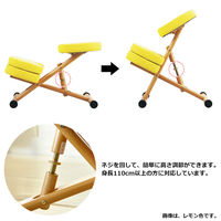 宮武製作所　クッション付きプロポーションチェア　キッズ　オレンジ　（オレンジ）　（直送品）