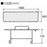 日進医療器 浴室用ストレッチャー固定式 TY222ESS 1台 01-3615-01（直送品）