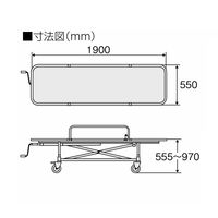 日進医療器 浴室用ストレッチャー昇降式・背上げ TY225ES TY225ESSB 1台 24-2385-00（直送品）