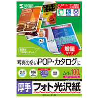サンワサプライ　カラーレーザー用フォト光沢紙・厚手　LBP-KAGNA4N-100　（直送品）