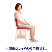 ピーエーエス　p!nto　グレー　クッション　744296　（直送品）