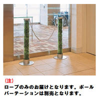 ベルク グリーンスタンド パーテーション ロープ 81-C 1本（直送品）