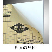 積水化成品工業 NKタックII FA5ー600ー900S 1箱（10枚） FA5-600-900S