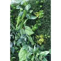 タカショー ウォールグリーン ライムポトスミックス AS-F08 1個　（直送品）