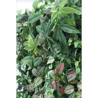 タカショー ウォールグリーン マーブルポトスミックス AS-F09 1個　（直送品）