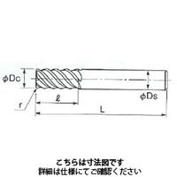 不二越 GSXMILLVL多刃ラジアス2.5D GSXVL6100ーR03ー2.5D 1本（直送品）
