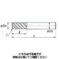 不二越 GSXMILLVL多刃ラジアス2.5DTiSUS用 GSXVL6120TーR10ー2.5D 1本（直送品）