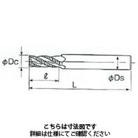 不二越 AGミル 4枚刃 4AGELPT25 1本（直送品）