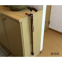 光華 杖固定ホルダー L01 1セット(3個) 8-6956-01（直送品）