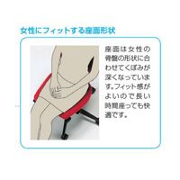 【設置込】イトーキ　cassico（カシコ） オフィスチェア　T型肘付　背面：樹脂タイプ（オフホワイト）　背座：シュガーブラウン　1脚（直送品）