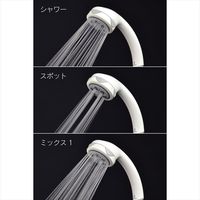 カクダイ ガオナ シャワーヘッドとホースのセット 5段切替 節水 マッサージ 掃除 リフレッシュ ボッシーニ GA-FH004 1個（直送品）