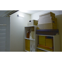 アイリスオーヤマ　乾電池式屋内センサーライト　ウォールタイプ　シーリングライト　BSL40WN-M　（直送品）