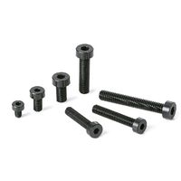 鍋屋バイテック(NBK) 六角穴付ボルト 樹脂ねじ（RENY / 六角穴付き低頭ボルト） SPA-M6-25-LC 1袋（20個入）（直送品）