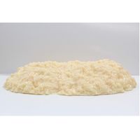 イワイサンプル 脂肪の塊(3kg) SI-030 1個 24-4514-03（直送品）