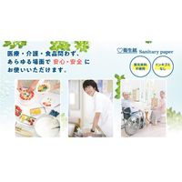 大富士製紙 フジエコクリーン 8162 1セット(16000枚:200枚入×80袋) 24-4544-00（直送品）