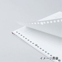 マルマン ルーズリーフ A5 5ミリ方眼罫 50枚 L1307 1冊