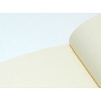 ライフ ノーブル ノート 無地 A5 N36 1冊