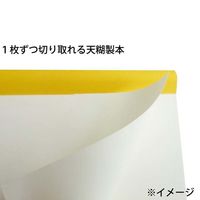 マルマン スケッチパッド SOHO B5 100枚 SOHO501 1冊