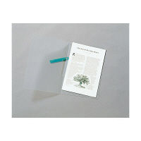 セキセイ　クリップインファイル　黒　SSS-105-60（20）　1箱（20冊入）　（直送品）