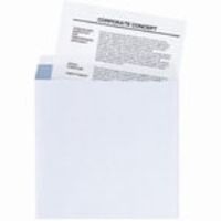 高春堂 内地紋付 ホワイト封筒 738 角2 1パック（100枚入） 郵便番号枠なし（直送品）