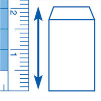 レイメイ藤井 見やすい方眼定規 30cm AJH308 1セット(5個)（直送品）