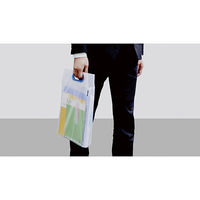 マグエックス メッシュバッグ A4 MMBーA4ーW 白 1セット(3枚)（直送品）