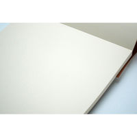 ライフ ノーブル レポート 無地 A4 R61 2冊