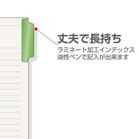 マルマン ラミネートタブインデックス B5 5山 LT5005 5パック