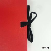 マルマン スケッチブック アートスパイラル F0 24枚 S310-01 1セット(2冊)