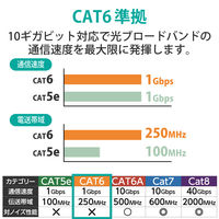 LANケーブル 10m cat6準拠 爪折れ防止 ギガビット より線 スリムコネクタ 黒 LD-GPN/BK10 エレコム 1個