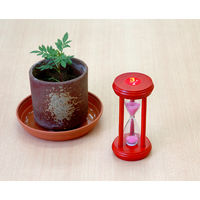 シンワ測定 砂時計 3分計 70551 1セット(10個)