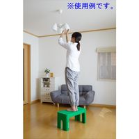 SANKA デコラステップトールL グリーン DS-TLG 1脚