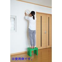 【踏み台】 SANKA decora’step（デコラステップ） デコラステップトールS グリーン DS-TSG 1脚