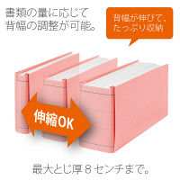 プラス セノバスエコノミー樹脂とじ具伝票 PK FL-062SE  1セット（3冊）（直送品）