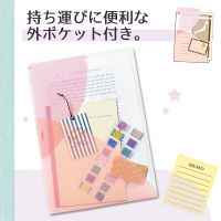 プラス PASTY CH B5 PP FL-710P5 5枚  1セット（5枚）（直送品）