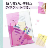 プラス PASTY CH B5 RP FL-710P5 1セット(5枚)（直送品）