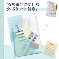 プラス PASTY CH B5 SB FL-710P5 1セット(5枚)（直送品）