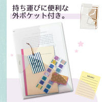 プラス PASTY CH B5 VW FL-710P5 1セット(5枚)（直送品）