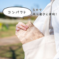 ティッシュペーパー 高品質 50組 スコッティ カシミヤ ナチュラル ソフトパック 1ケース（36パック） 日本製紙クレシア