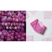 ノルコーポレーション ウォッシュニーフルーツ ペーパーハンドソープ 携帯用かみせっけん リッチグレープの香り 1個(40枚入)×12セット（直送品）