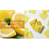 ノルコーポレーション ウォッシュニーフルーツ ペーパーハンドソープ 携帯用かみせっけん ビターレモンの香り 1個(40枚入)×12セット（直送品）