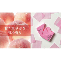 ノルコーポレーション ウォッシュニーフルーツ ペーパーハンドソープ 携帯用かみせっけん スウィートピーチの香り 1個(40枚入)×12セット（直送品）