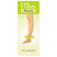 アルケア アンシルク・1 ハイソックス(つま先あり) 21392 1箱(1足入)
