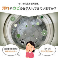 コモライフ カビウォッシュ洗濯槽クリーナー 391416 1個