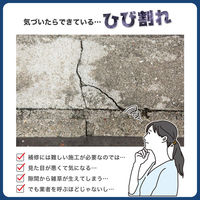 コモライフ コンクリート補修剤ヒビフサギーノ 391420 1個（直送品）