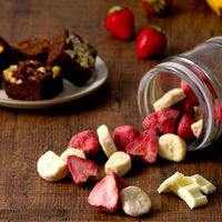 アデリー ホシフルーツ　果実とショコラ HFKC-002 1個（直送品）