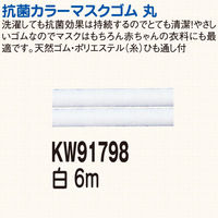 川村製紐工業 金天馬 抗菌カラーマスクゴム 6m 白 KW91798 1セット(10袋)