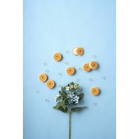 鼓月 姫千寿せんべい（ラムネ12枚入） ２箱【賞味期限：2022年10月6日】 74427202 １セット（12枚入×２箱）（直送品）