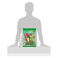 大興貿易 ダイコーニームケーキ2kgグリーン 2kg 4560271550117 1個